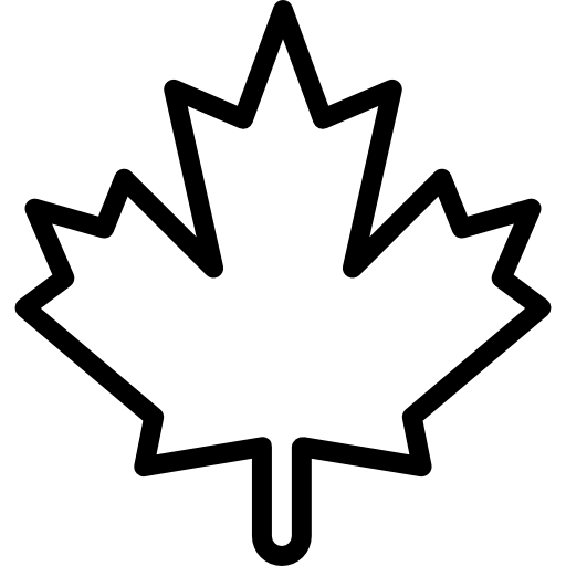Black outline of a maple leaf on a white background